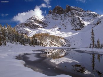 Peaceful Pondering Mt Assiniboine Provincial Park British Columbia screenshot