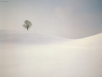 Peaceful Season Near Hirzel Switzerland screenshot