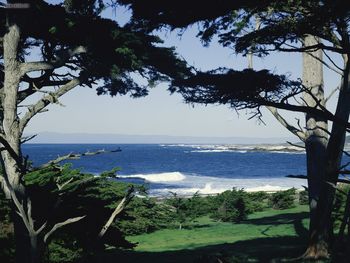 Pebble Beach California screenshot