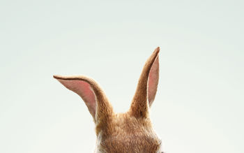 Peter Rabbit 2018 Movie screenshot
