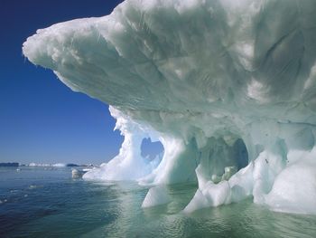 Petermann Island, Antarctic Peninsula, Antarctica screenshot