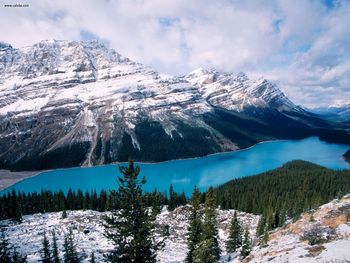 Peyto Lake Banff National Park Alberta Canada screenshot