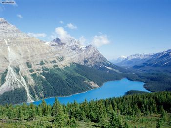 Peyto Lake Banff National Park Alberta screenshot