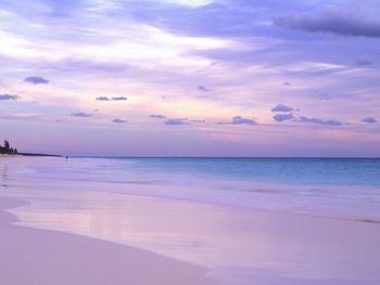 Pink Sands Beach At Dusk, The Bahamas screenshot