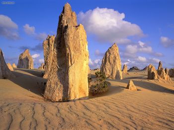 Pinnacles Desert Nambung National Park Australia screenshot