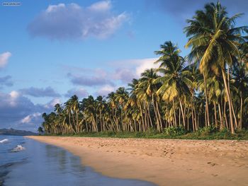 Pinneys Beach Nevis West Indies screenshot