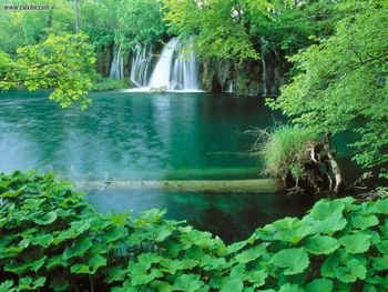 Plitvice Lakes National Park, Croatia screenshot