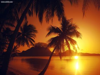 Polynesian Sunset Bora Bora screenshot
