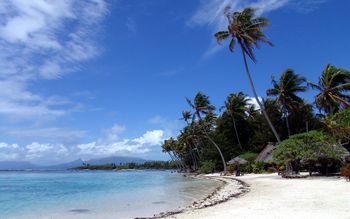 Polynesian screenshot