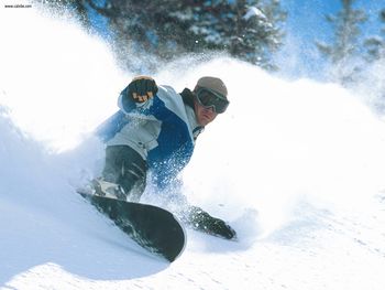 Powder Day Snowbird Utah screenshot