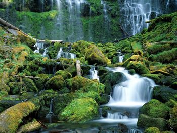 Proxy Falls Cascade Range Oregon screenshot