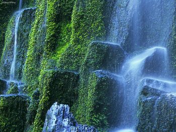 Proxy Falls, Willamette National Forest, Oregon screenshot