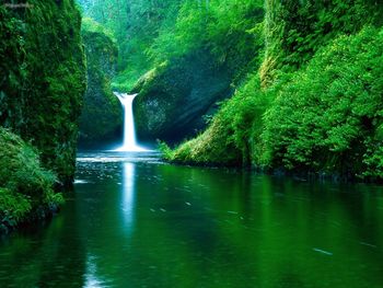 Punch Bowl Falls, Eagle Creek Wilderness Area, Columbia River Gorge,oregon screenshot