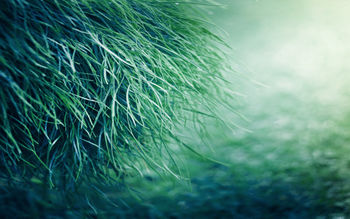 Pure Grass screenshot