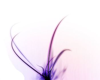 Purple Comb Over screenshot
