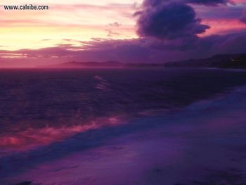 Purple Cove screenshot