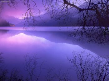 Purple Haze Over Lake Crescent, Olympic National Park, Washington screenshot