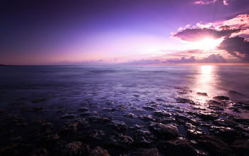 Purple Seascape screenshot