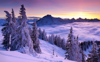 Purple Winter Sunset screenshot