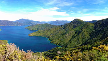 Queen Charlotte Track Marlborough Sounds New Zealand screenshot