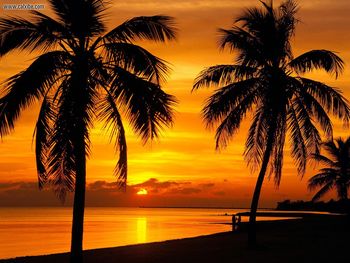 Quiet Sunset Key West Florida screenshot