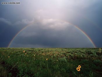 Rainbow In A Cloudy Sky Over A Meadow screenshot