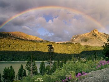 Rainbow Over Mount Dana, Yosemite National Park, California screenshot