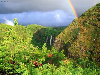 Rainbow Over Opaekaa Falls Kauai Hawaii screenshot