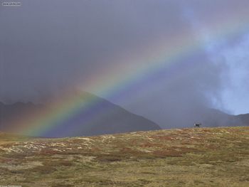 Rainbow Over The Arctic National Wildlife Refuge Alaska screenshot