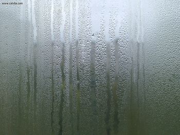 Rainy Window screenshot
