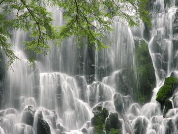 Ramona Falls Mount Hood Wilderness Oregon screenshot