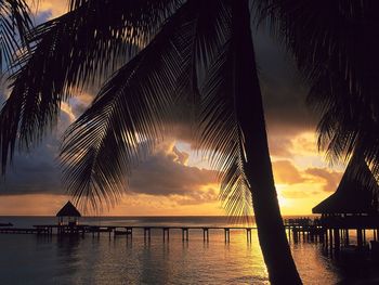 Rangiroa, Tuamotu Archipelago, French Polynesia screenshot