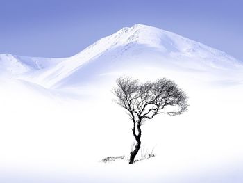 Rannoch Moor In Winter, Scotland screenshot