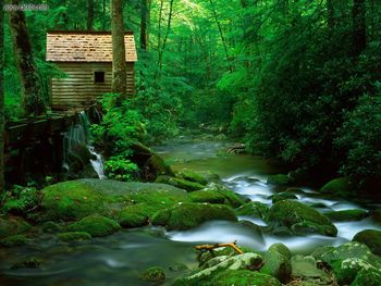 Reagan Mill Roaring Fork Great Smoky Mountains National Park Tennessee screenshot