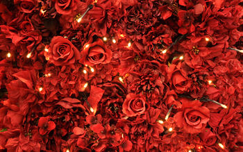 Red Roses Lights screenshot