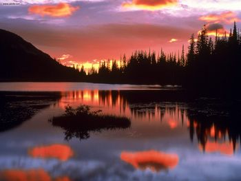 Reflection Lake At Sunrise Mount Rainier National Park Washington screenshot