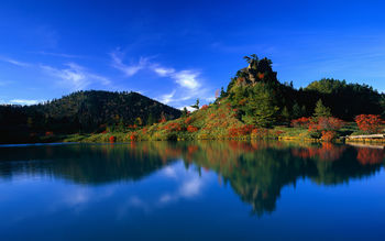 Reflection of Autumn Trees screenshot