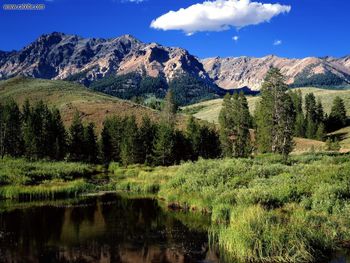 Reflections In Beaver Pond Boulder Mountains Idaho screenshot