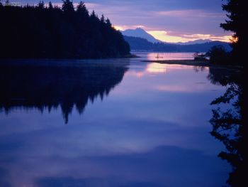Reflections Vancouver Island British Columbia screenshot
