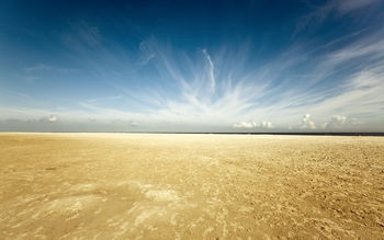 Renesse Beach screenshot