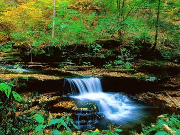 Ricketts Glen State Park Pennsylvania screenshot