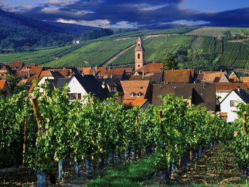 Riquewihr, France screenshot