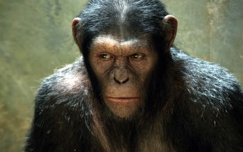 Rise of the Planet of the Apes Movie screenshot