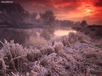 River Avon Great Britain screenshot