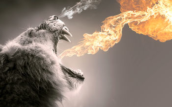 Roaring Flames screenshot