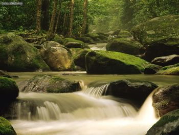 Roaring Fork River Great Smoky Mountains National Park Tennessee screenshot
