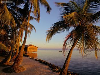 Roatan Honduras screenshot