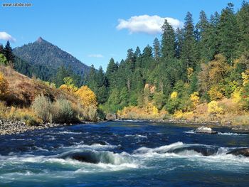 Rogue River Siskiyou National Forest Oregon screenshot