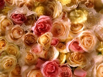 Rose Bridal Bouquet screenshot