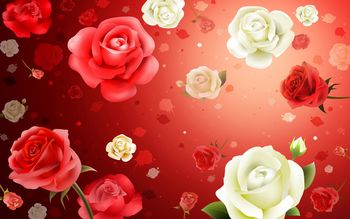 Roses HD Widescreen screenshot